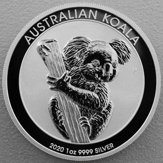 Australian Koala 2020