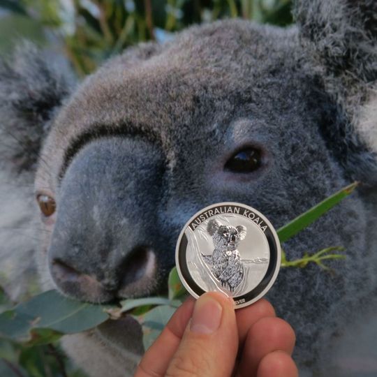Koala Anlagesilber