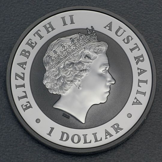 Kopfseite Australian Koala 2016