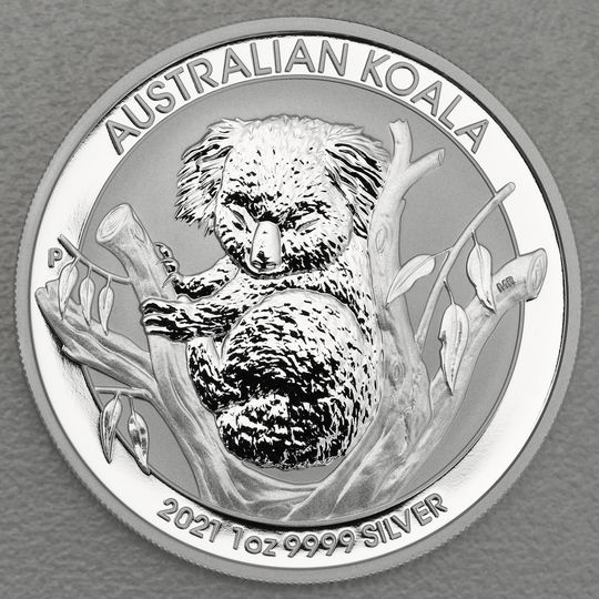 Koala Silber 2021